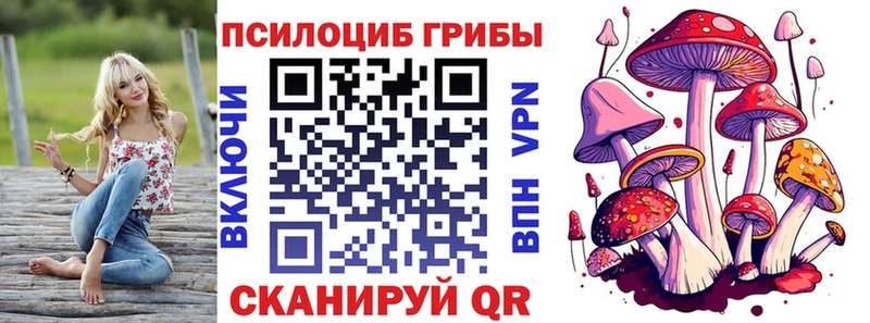 Купить где Звенигород Галлюциногенные грибы Psilocybe
