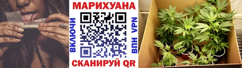 Каннабис SATIVA & INDICA  Купить закладки  Звенигород 